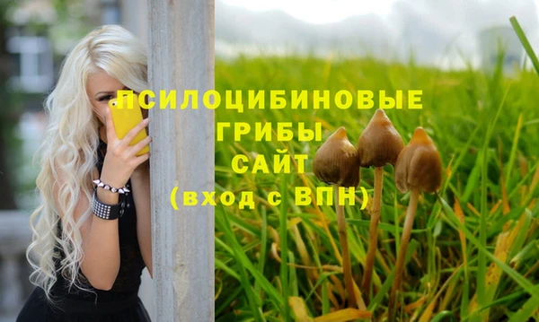 прущие крисы Надым