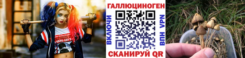 Галлюциногенные грибы Cubensis  купить закладку  Одинцово 